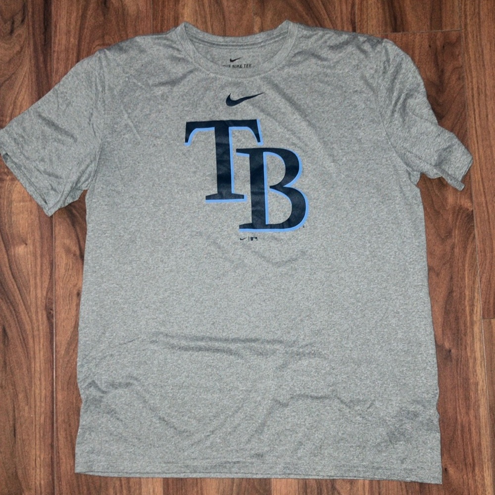 Tampa bay rays logo shirt
